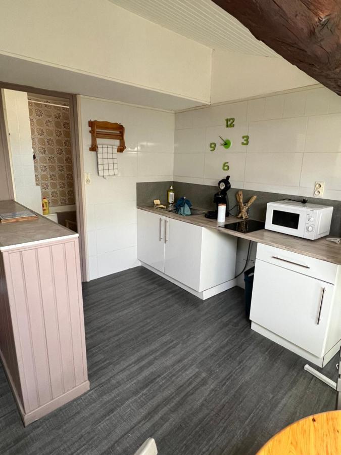 Appartement Au Coeur De Καρκασόν Εξωτερικό φωτογραφία